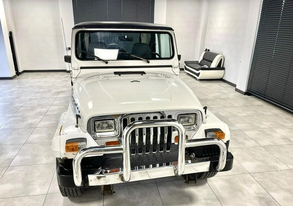 Jeep Wrangler cena 51000 przebieg: 150000, rok produkcji 1990 z Nowy Staw małe 121